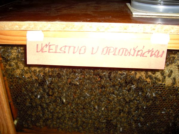 107.JPG
