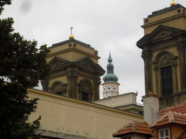 114.JPG